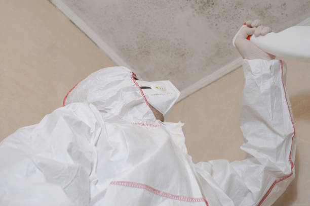 Best Emergency Mold Removal  in Perham, MN